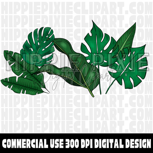 Tropical Leaves Hand Drawn Digital Clipart Bundle